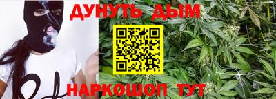 гидра Новозыбков