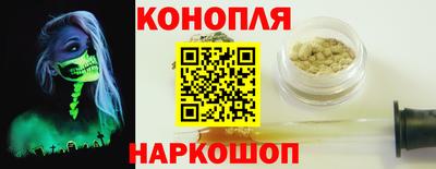 Альфа ПВП Новодвинск