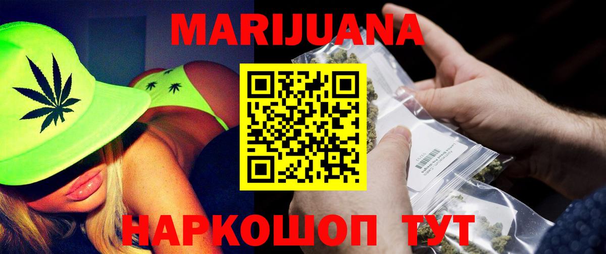 Каннабис сатива Фрязино